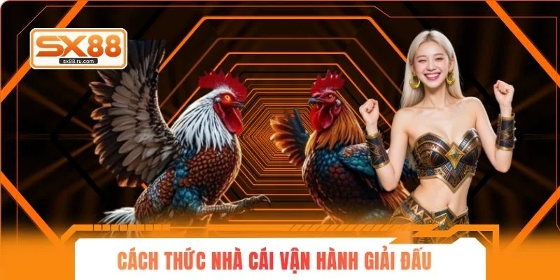 Cách thức nhà cái vận hành giải đấu