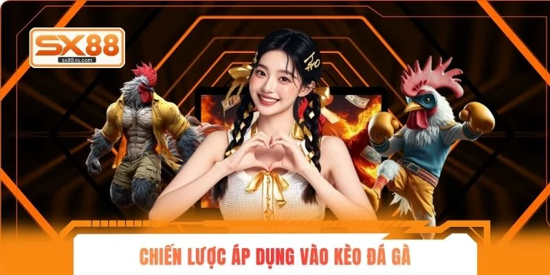 Chiến lược áp dụng vào kèo đá gà