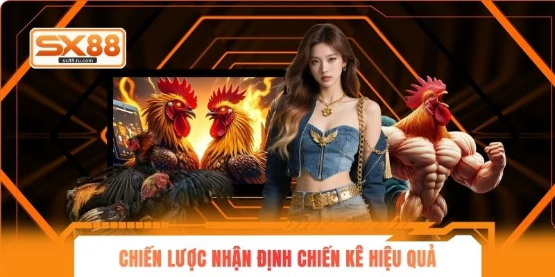 Chiến lược nhận định chiến kê hiệu quả
