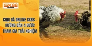 Chọi gà online