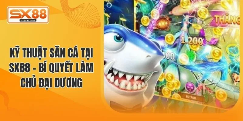 kỹ thuật săn cá