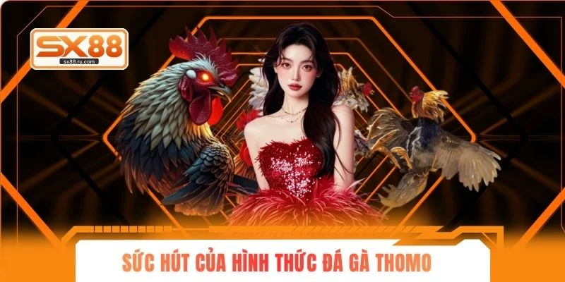 Sức hút của hình thức đá gà Thomo