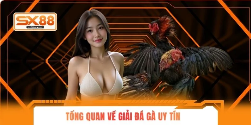Tổng quan về giải đá gà uy tín